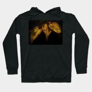 gold vine leaves Hoodie